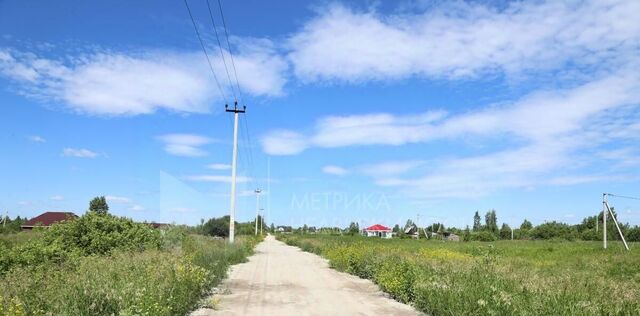 земля р-н Центральный снт Поле чудес пер. Сливовый фото