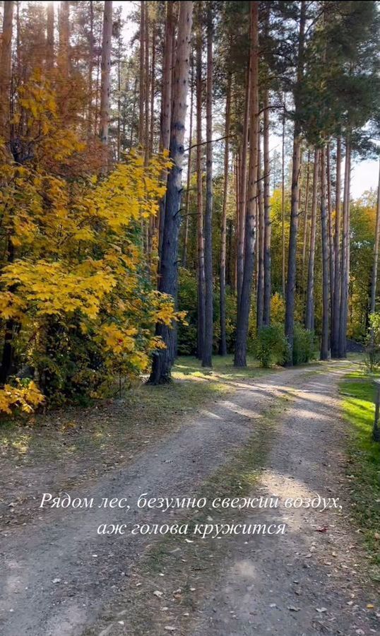 земля г Чебоксары д Чандрово снт Чайка р-н Московский 87 фото 2