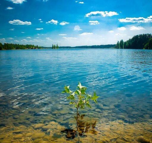 ул Первомайская Мгинское городское поселение, Назия фото