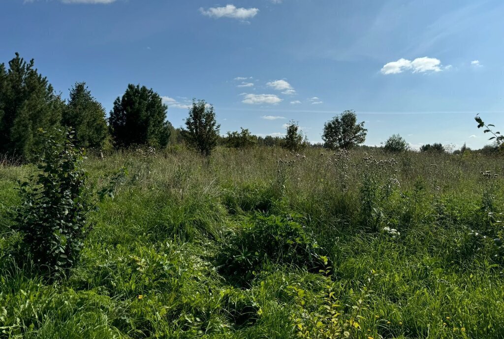 дом р-н Нижнесергинский д Половинка ул Трактовая 37 Нижнесергинское городское поселение фото 10