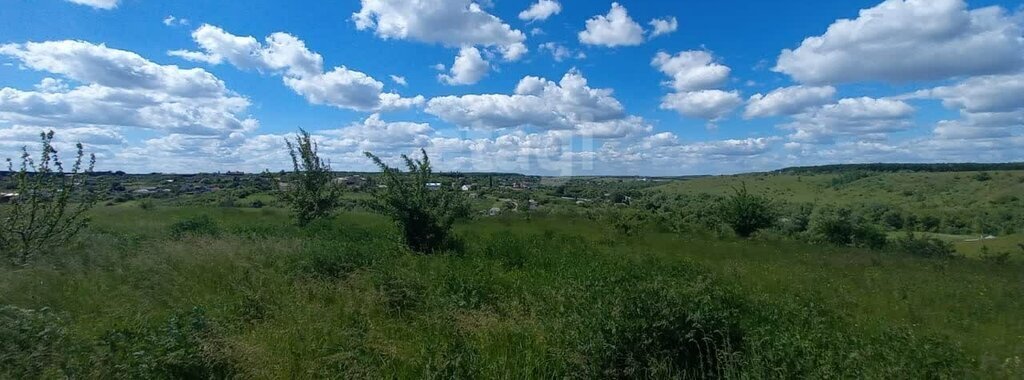 земля р-н Рамонский с Русская Гвоздевка ул Беговая фото 1