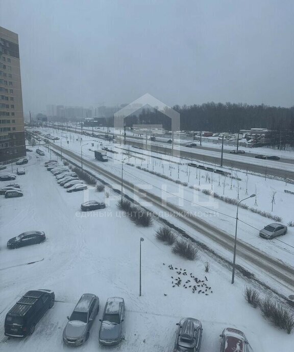 квартира г Санкт-Петербург метро Новочеркасская пр-кт Дальневосточный 8к/1 фото 11