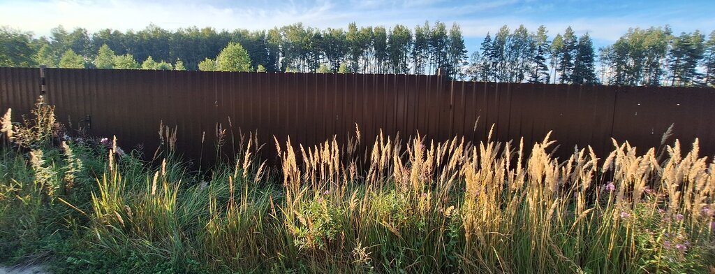 земля городской округ Орехово-Зуевский дачный посёлок Малая Дубна, 23 фото 7