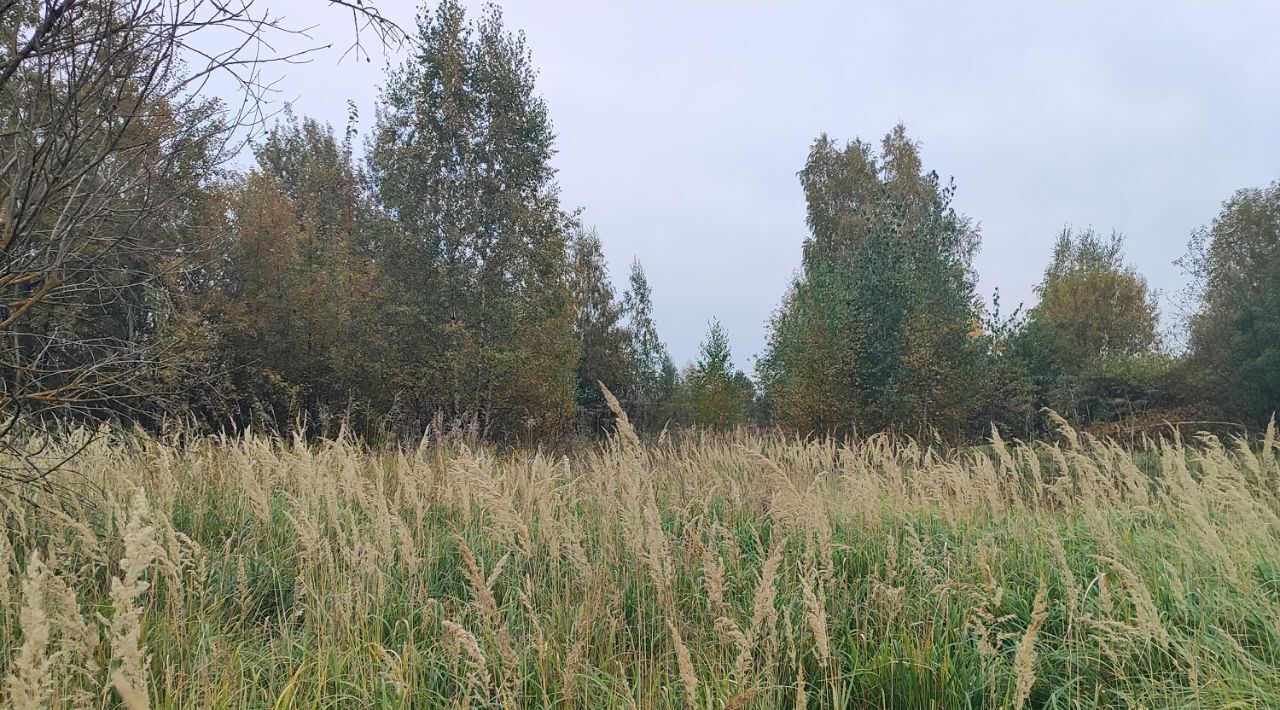 земля городской округ Раменский д Кулаково Кратово фото 2