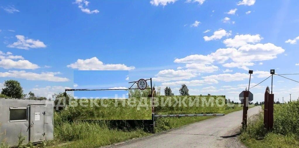 земля г Тюмень р-н Центральный снт Царево 185 фото 2
