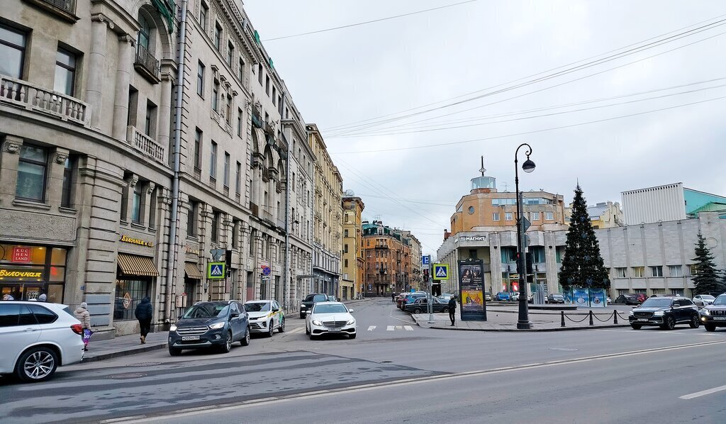 квартира г Санкт-Петербург метро Горьковская ул Малая Посадская 6к/1 фото 2