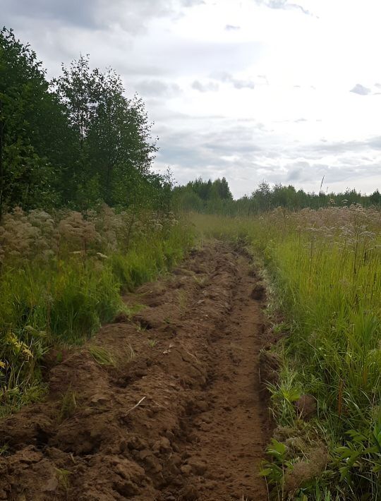 земля городской округ Можайский д Холмово 2 фото 1