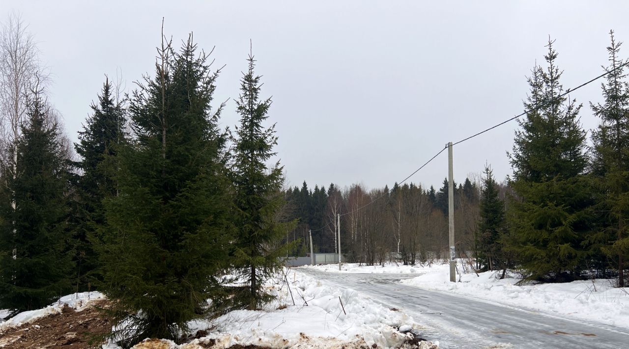 земля городской округ Сергиево-Посадский Шубино-Яркое тер фото 5