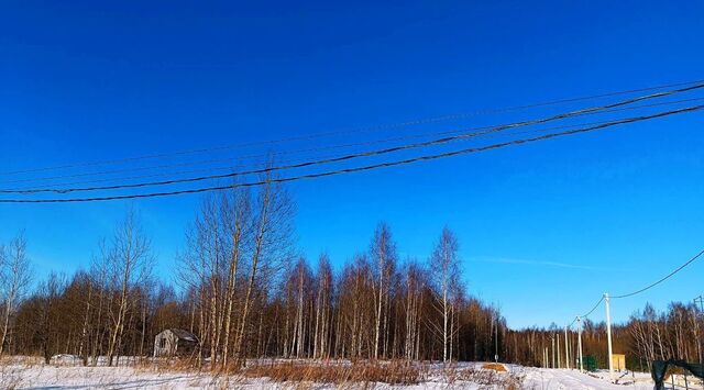 городской округ Сергиево-Посадский Шубино-Яркое тер фото