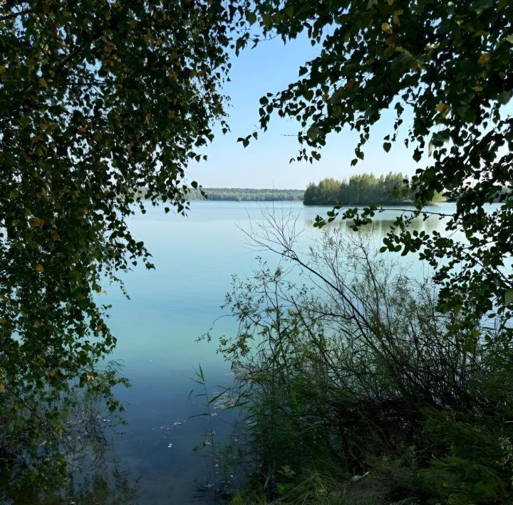 земля городской округ Мытищи д Жостово ул Соловьиная фото 1