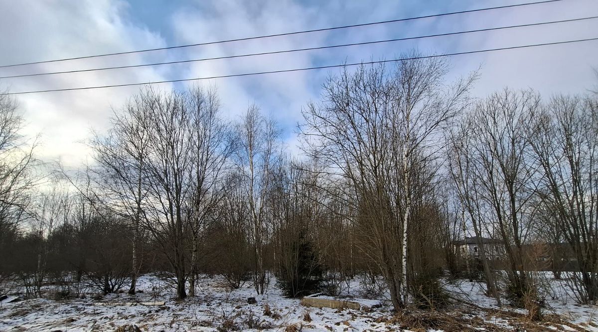 земля городской округ Мытищи д Жостово ул Художников фото 1