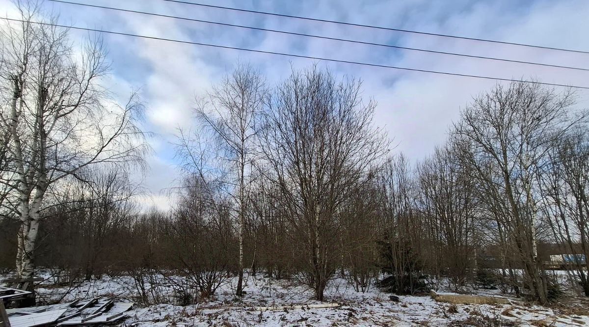 земля городской округ Мытищи д Жостово ул Художников фото 2