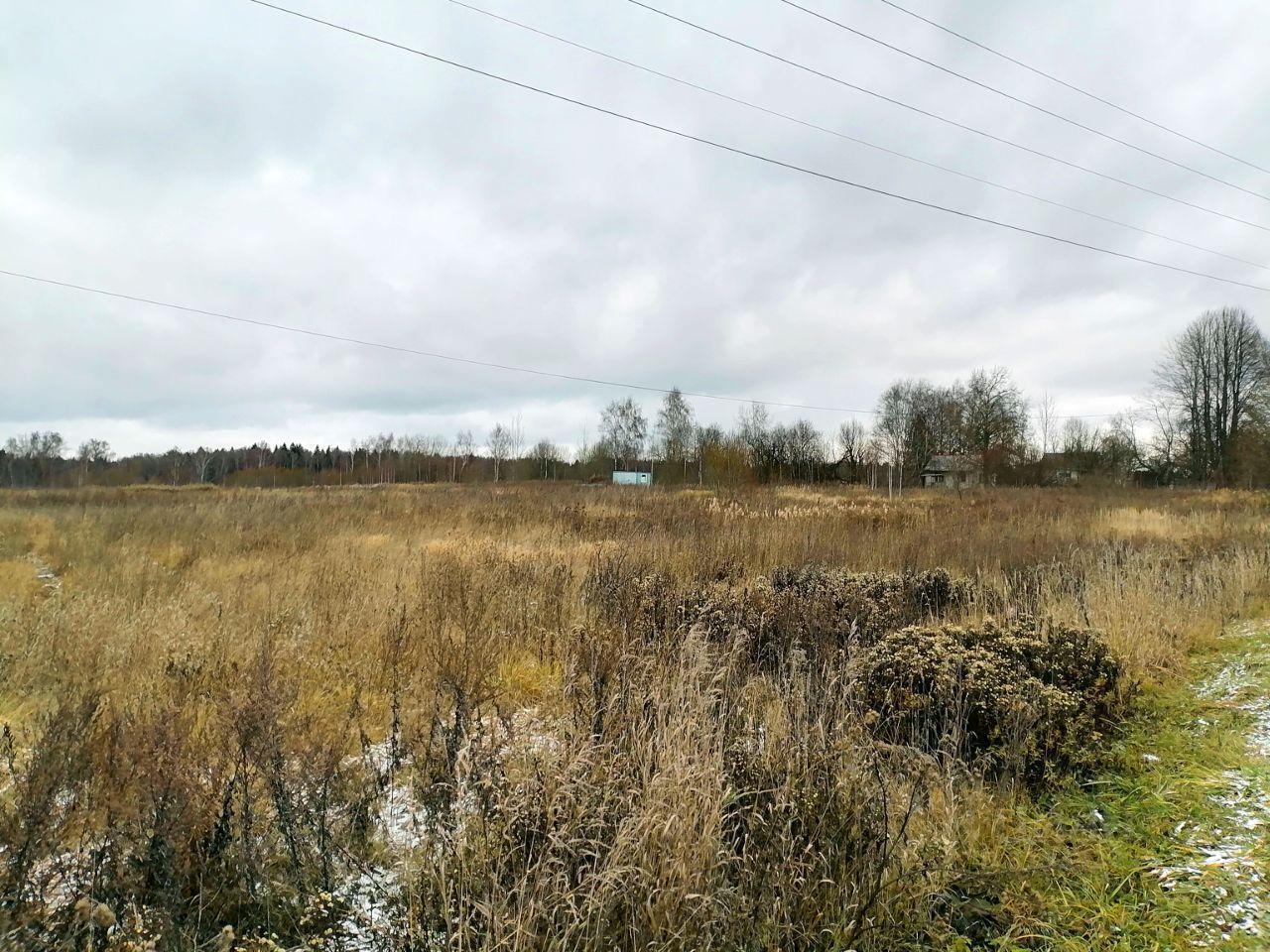 земля городской округ Дмитровский с Ильинское КП Васнецово Озеро, Васнецово озеро фото 3