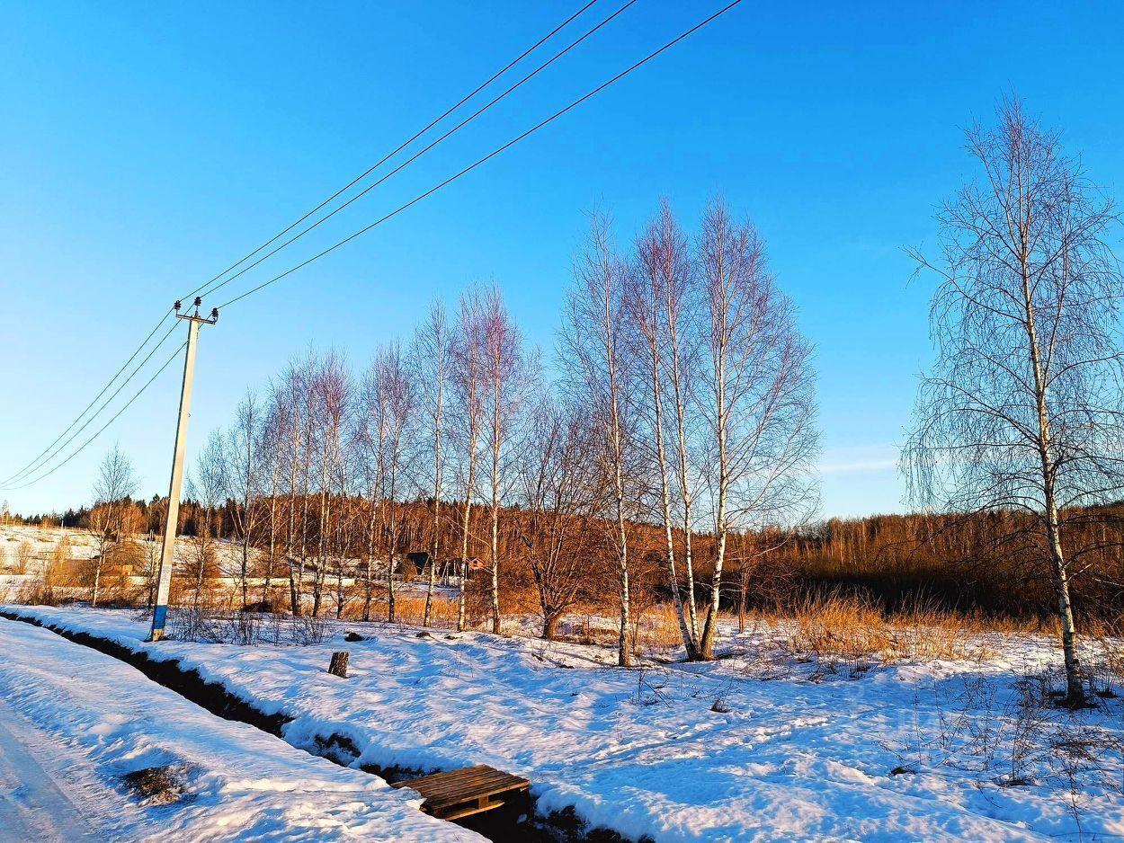 земля городской округ Раменский днп У Озера Дмитровский муниципальный округ фото 4