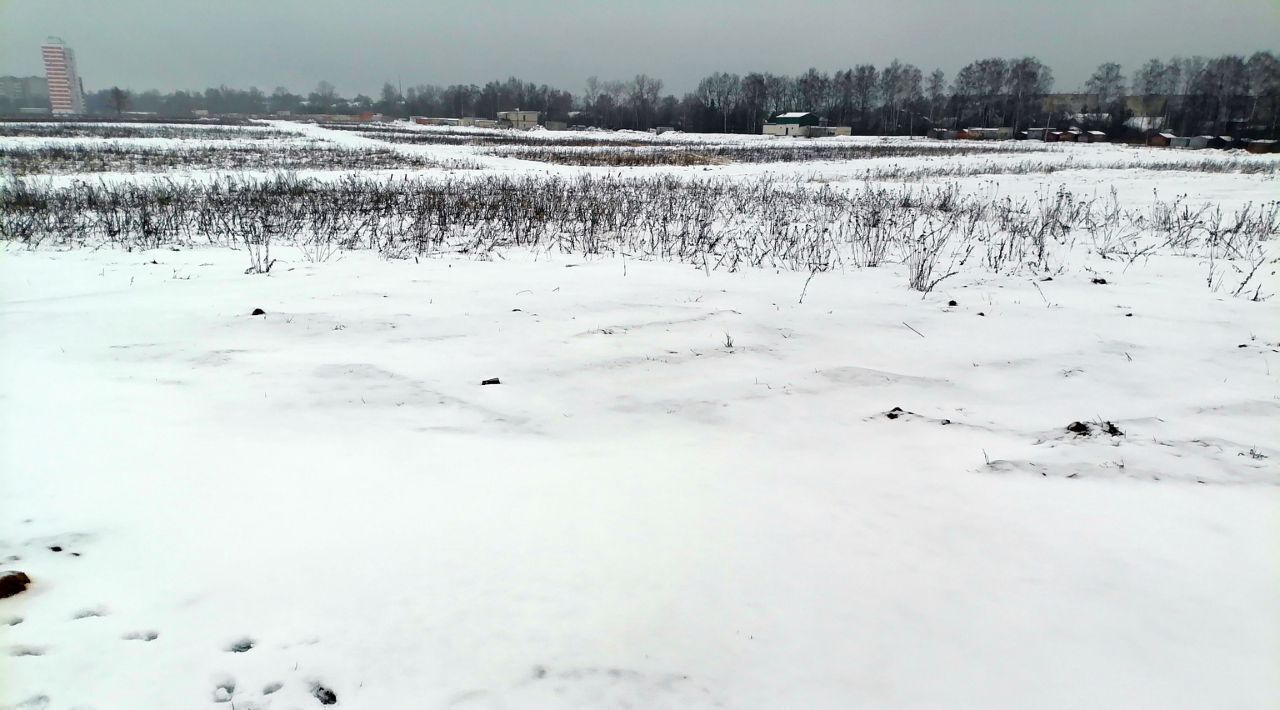 земля городской округ Пушкинский с Братовщина фото 4