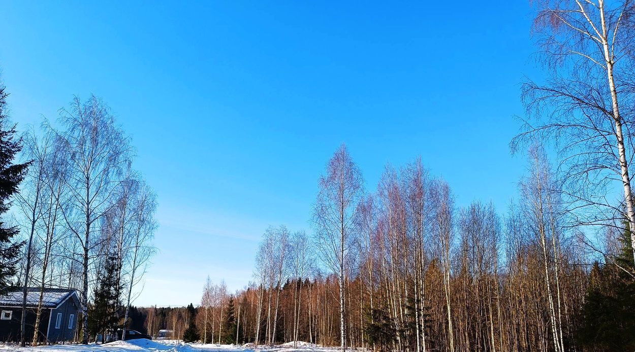 земля городской округ Сергиево-Посадский Шубино-Яркое тер фото 7