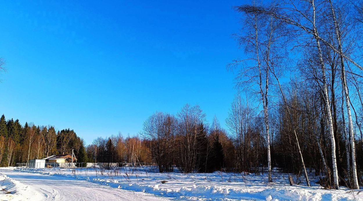 земля городской округ Сергиево-Посадский Шубино-Яркое тер фото 16