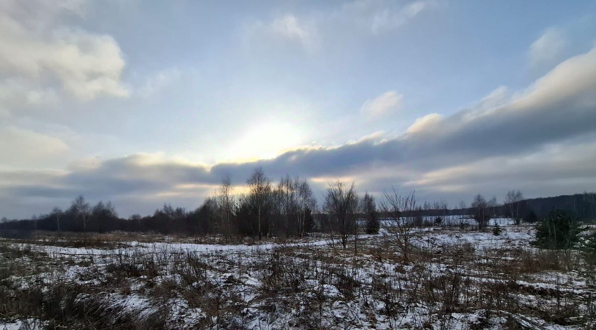 земля городской округ Мытищи д Жостово ул Соловьиная фото 5