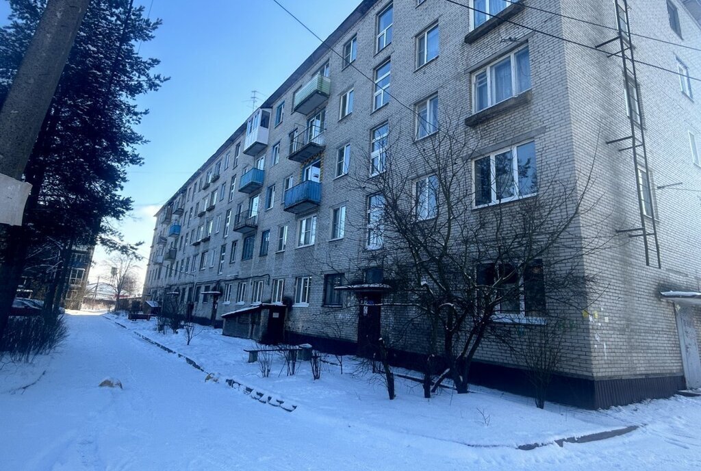 квартира городской посёлок Мга, Рыбацкое, Железнодорожная улица, 45 фото 1