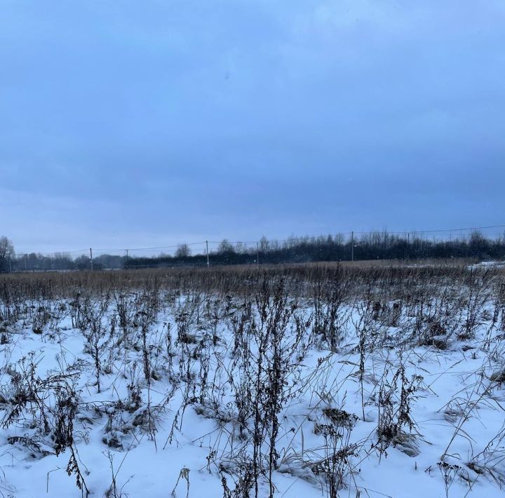 земля городской округ Воскресенск д Силино фото 1