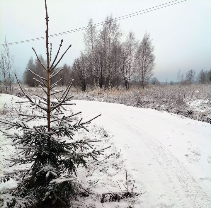 земля городской округ Чехов д Филипповское фото 8