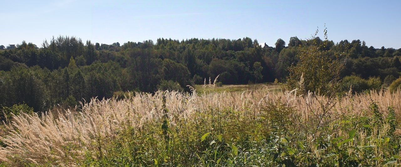 земля городской округ Сергиево-Посадский д Махра фото 3