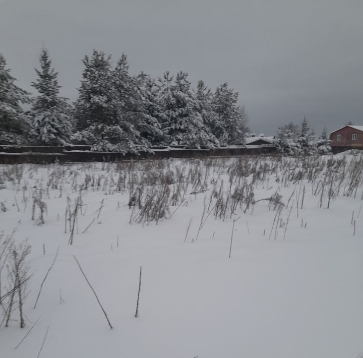 земля городской округ Клин д Ситники фото 3