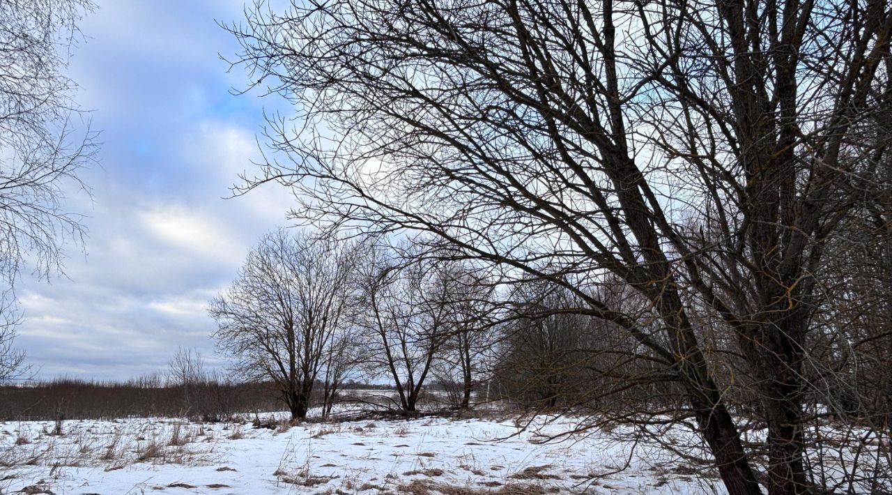 земля городской округ Клин д Ватолино фото 2