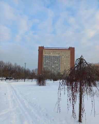 метро Международная ул Турку 1к/2 фото