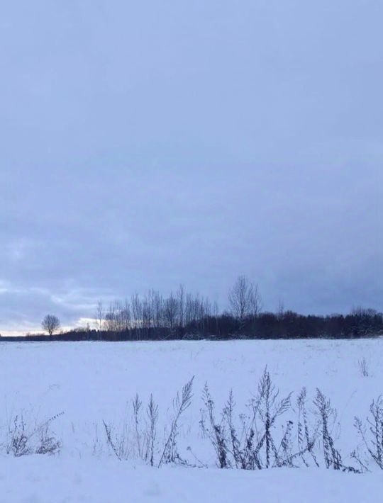 офис городской округ Талдомский д Новая Хотча фото 1