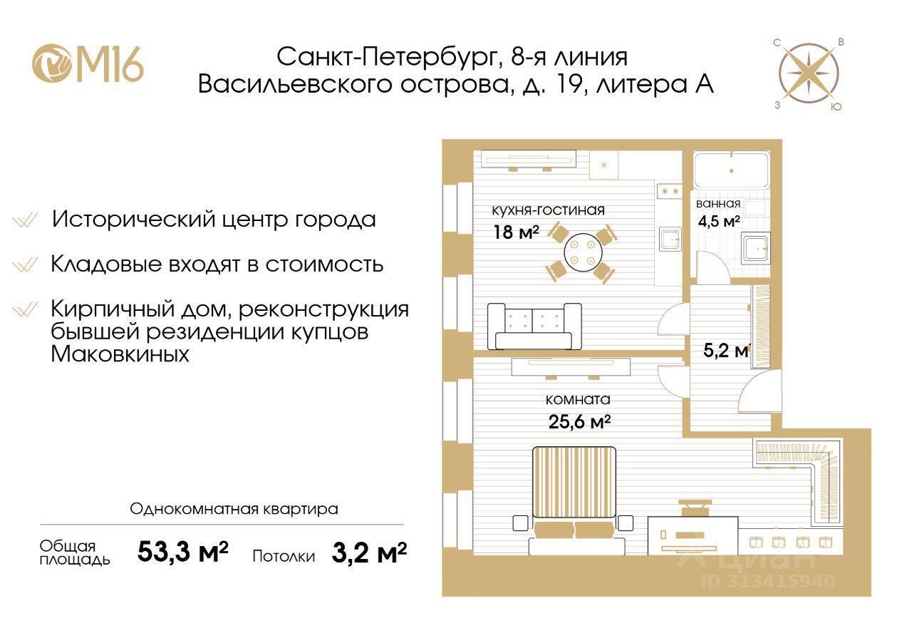 квартира г Санкт-Петербург р-н Василеостровский линия 8-я В.О. 19 округ № 7, В. О., Ленинградская область фото 13