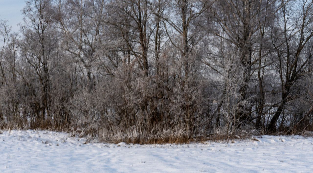 земля городской округ Волоколамский д Курьяново фото 4