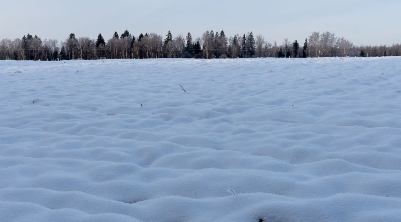 земля городской округ Волоколамский д Курьяново фото 7