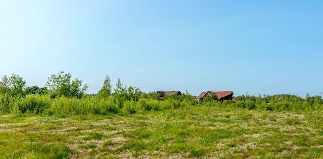 д Новая Пустошь Колтушское городское поселение, Ломоносовская фото