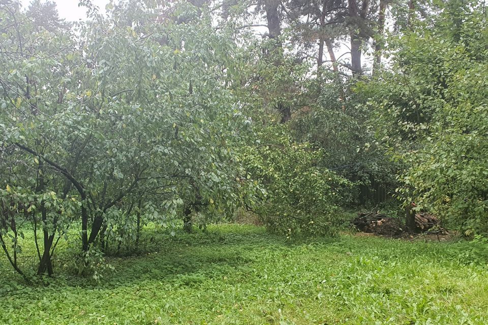 земля городской округ Раменский рп. Ильинский фото 4