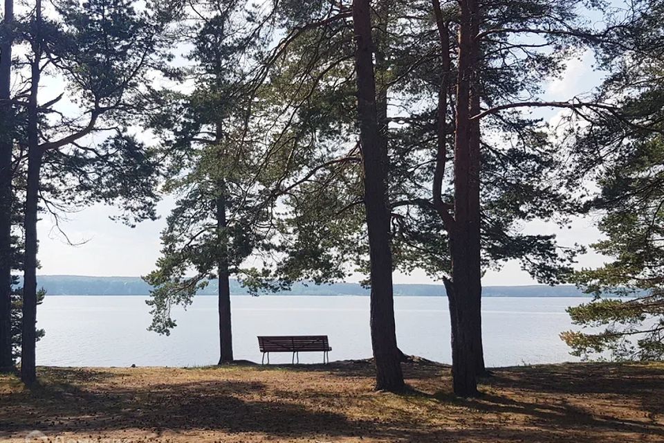 земля р-н Приозерский фото 1