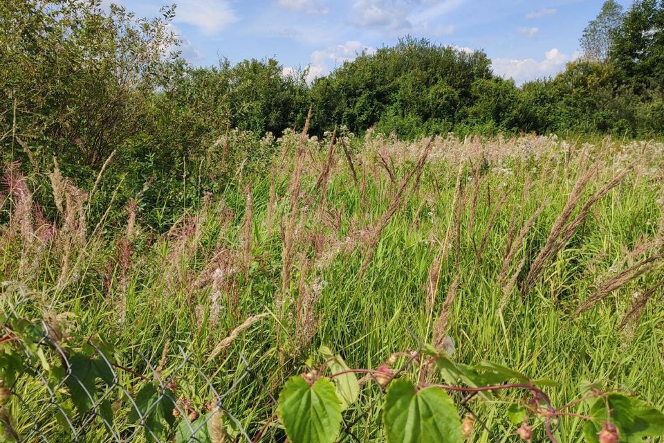 земля городской округ Клин садовое товарищество Лужок фото 5