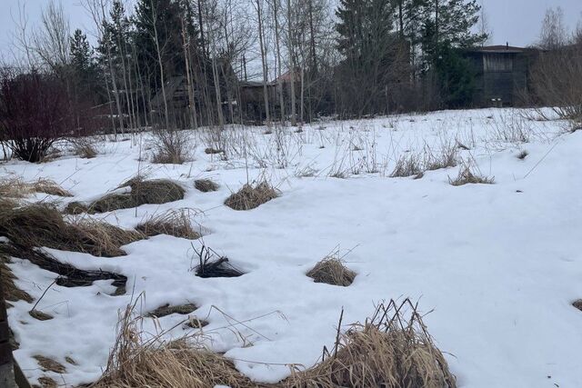 земля тер Волхонское ул Благодатная 204 Пушкинский фото