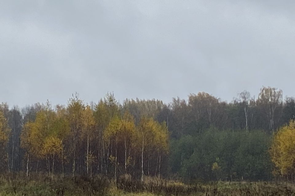 земля городской округ Чехов д. Жальское фото 2