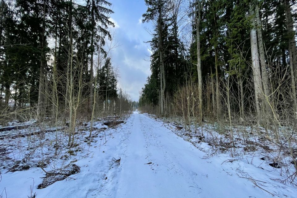 земля городской округ Дмитровский объединения Майское фото 4