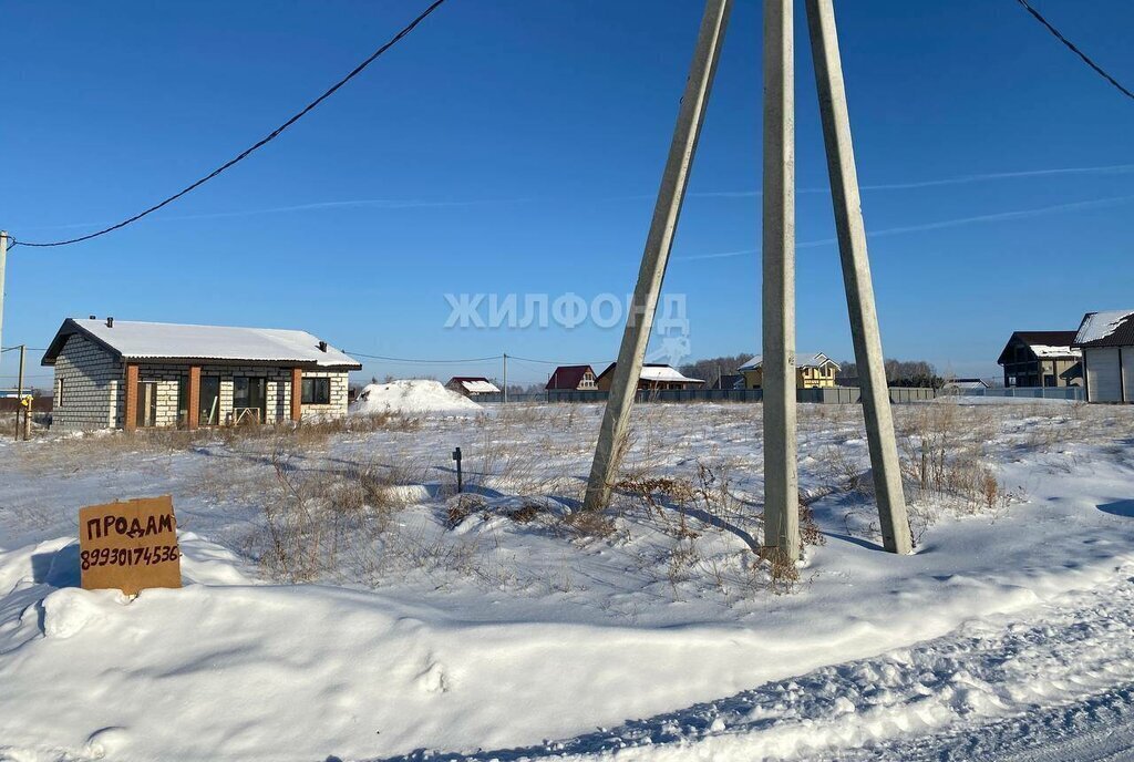 земля р-н Ордынский Новопичуговский сельсовет фото 13