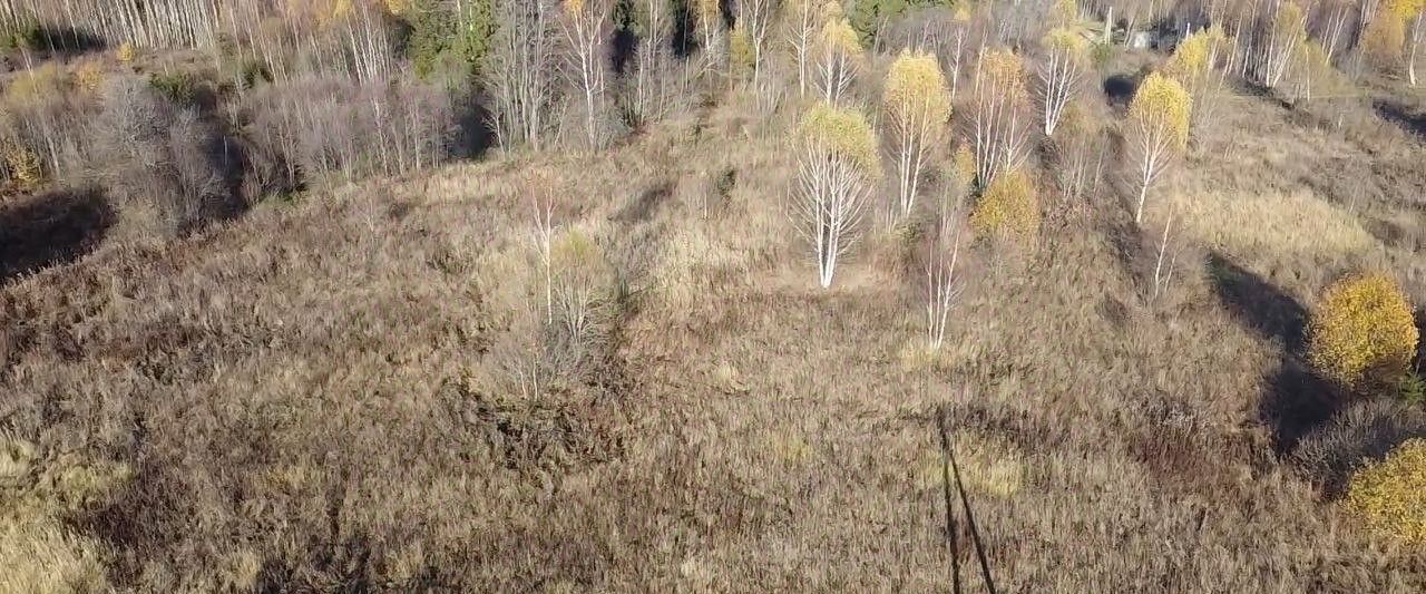 земля городской округ Волоколамский д Чернево фото 3