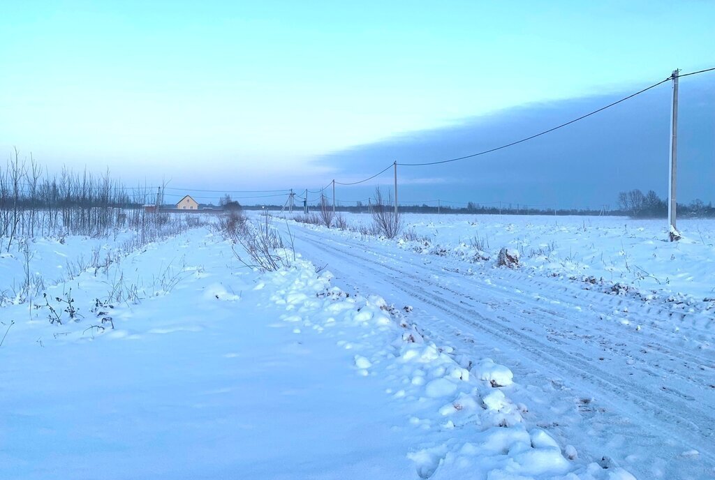 земля р-н Новгородский д Большое Подсонье Борковское сельское поселение фото 4