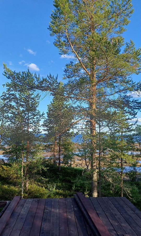 дом р-н Беломорский г Беломорск садоводческое товарищество Медик фото 14