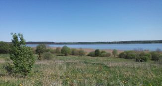 земля д. Лямоны Красногородский сельсовет фото