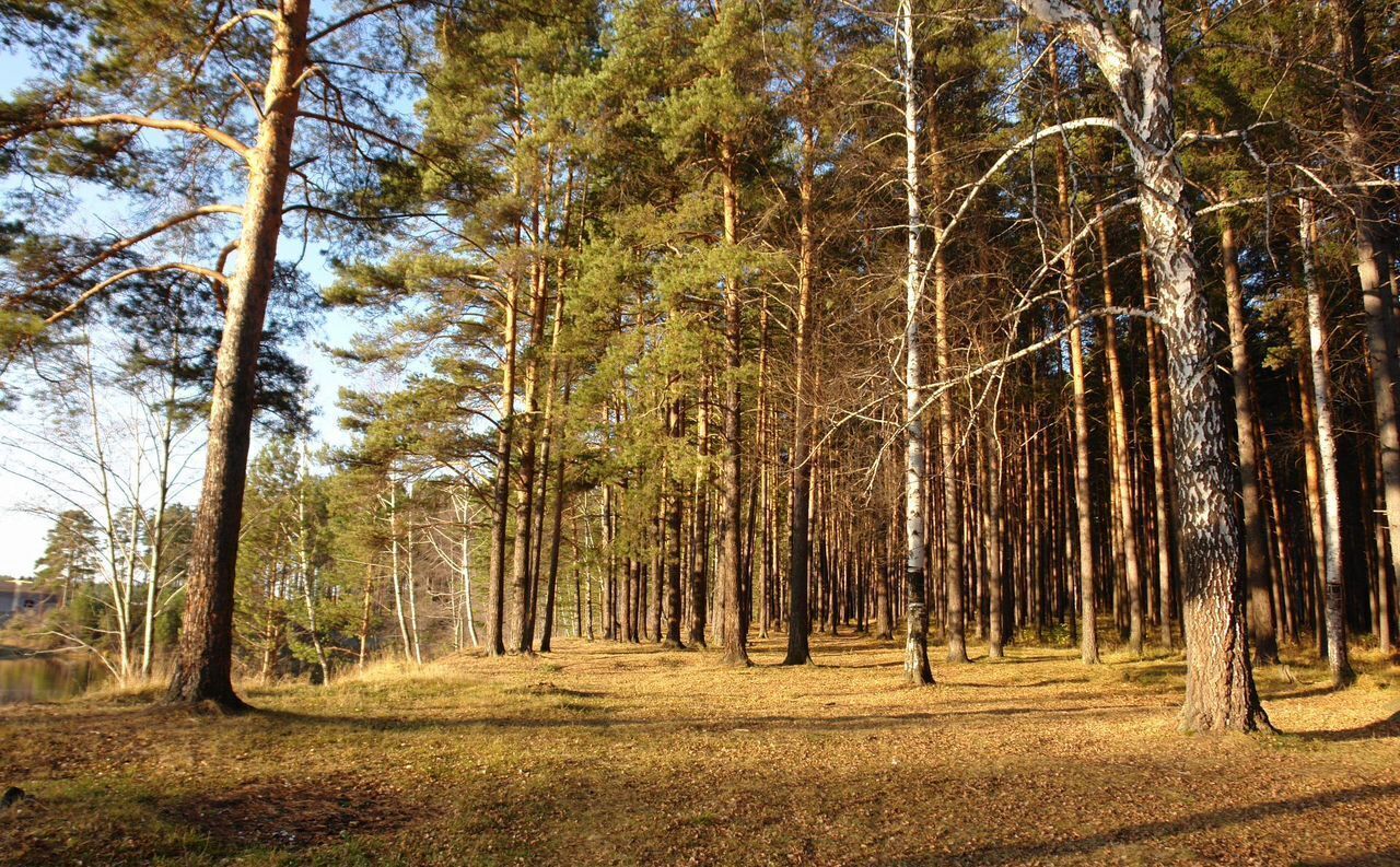 земля г Первоуральск д Старые Решёты Екатеринбург фото 2