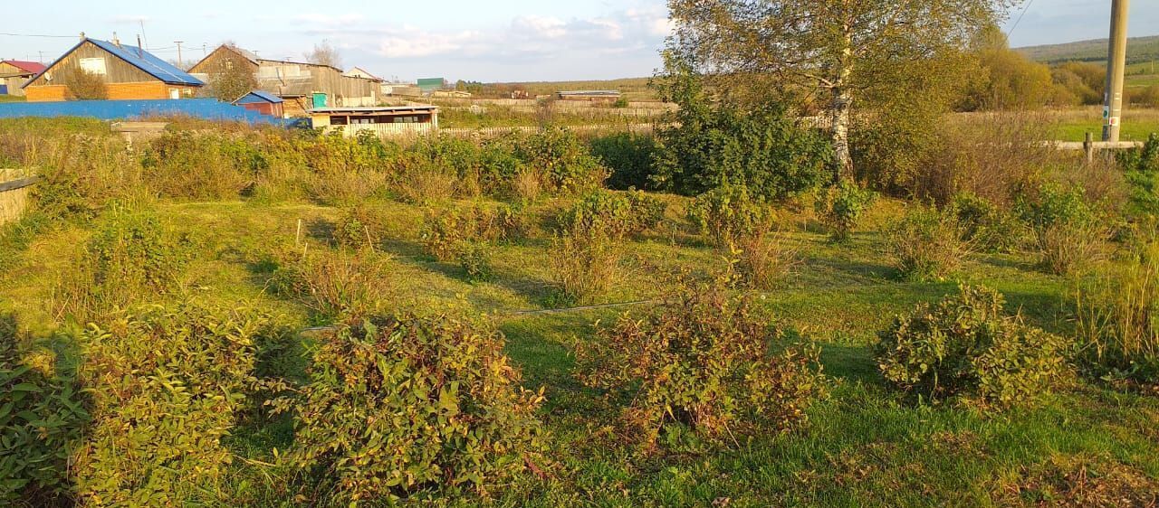 дом р-н Артинский д Березовка ул Трактовая Михайловск фото 24