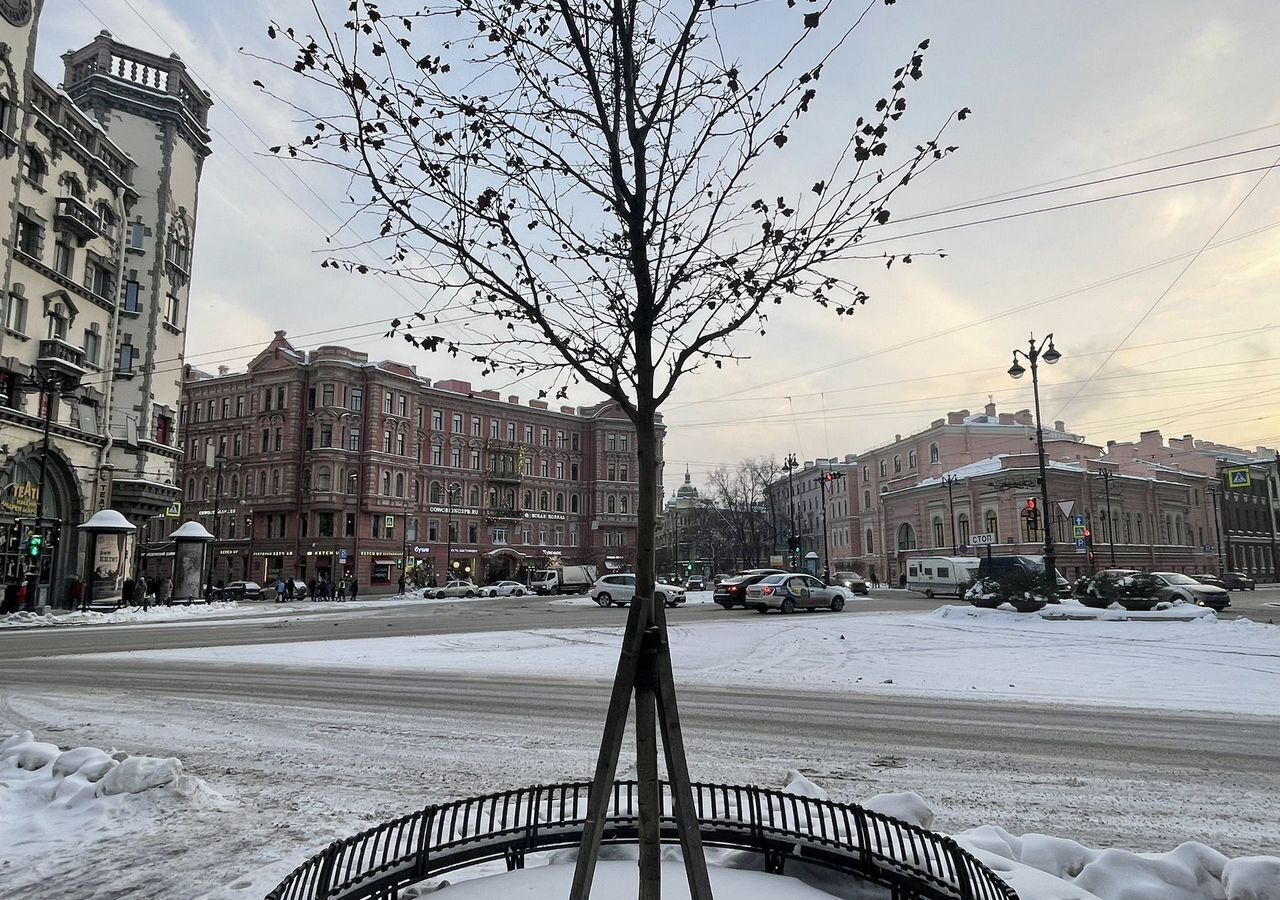 комната г Санкт-Петербург метро Петроградская Большой пр-т Петроградской стороны, 98 фото 1