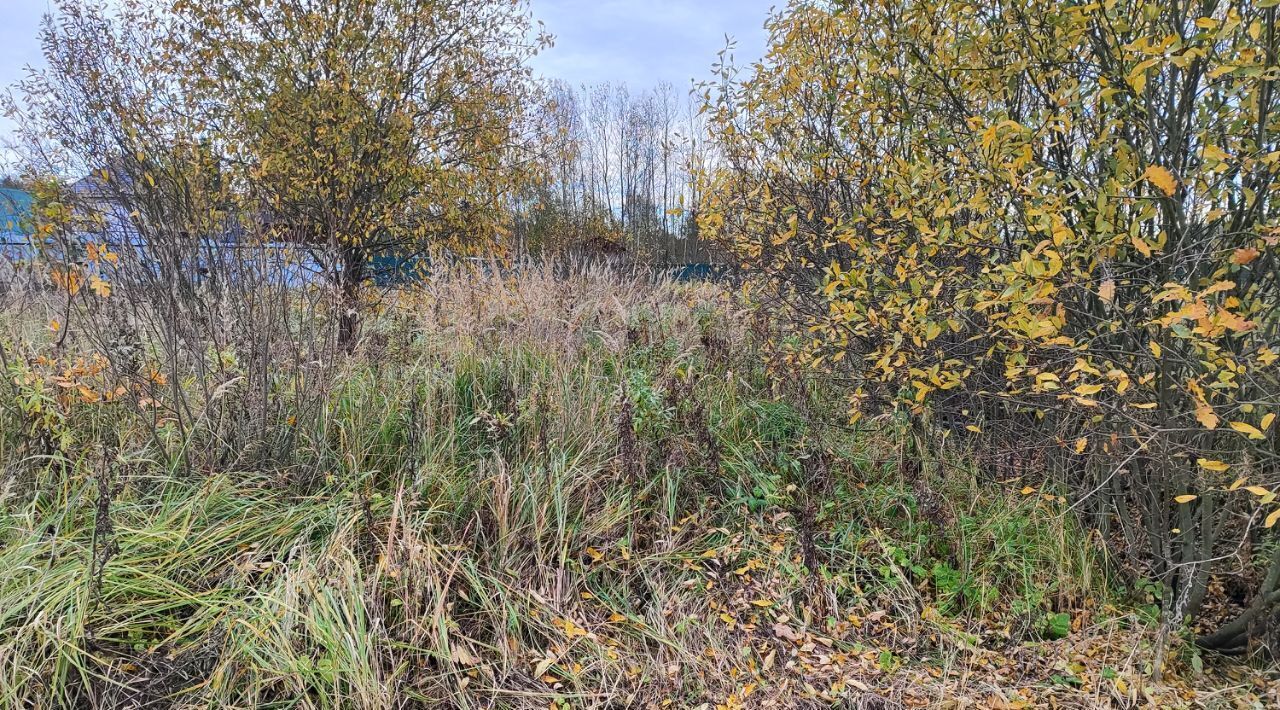 земля городской округ Раменский д Донино Раменское фото 1