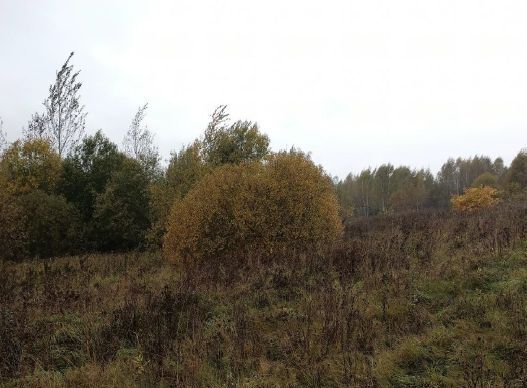 земля городской округ Дмитровский д Бестужево фото 2